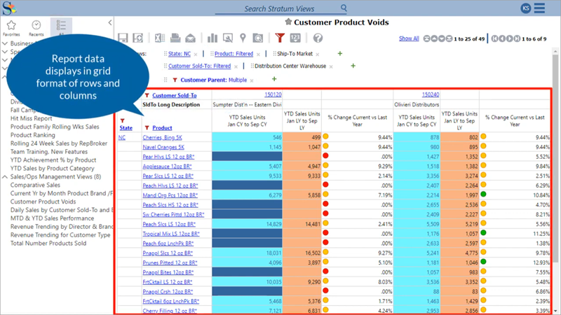 Stratum Report